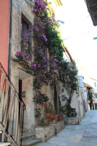 Appartamento vacanze Isola d'Elba